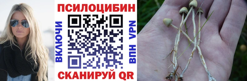 Галлюциногенные грибы Cubensis мега ссылки Алдан